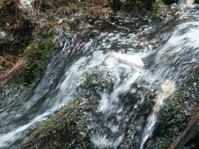 PICT2119
